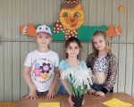 img (6)